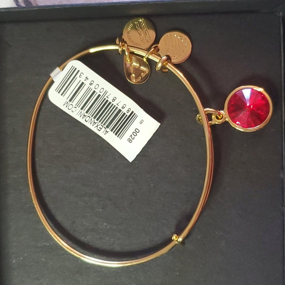 Alex and Ani Jewelry - NWT Alex and Ani July Swarovski Birth Month Crystal